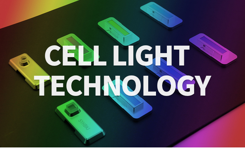 Precio de la m&aacute;quina de rejuvenecimiento de la piel profesional