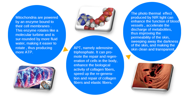La mejor m&aacute;quina blanqueadora efectiva 