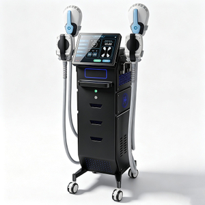 Máquina profesional de estimulación muscular del suelo pélvico