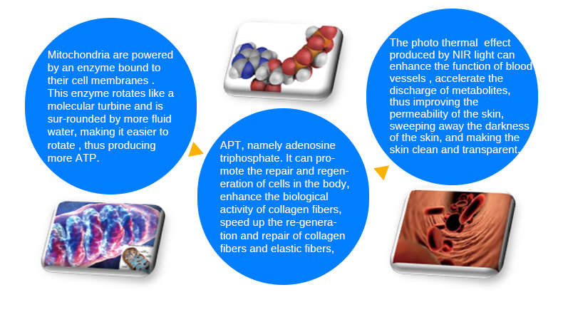 M&aacute;quina de rejuvenecimiento de la piel
