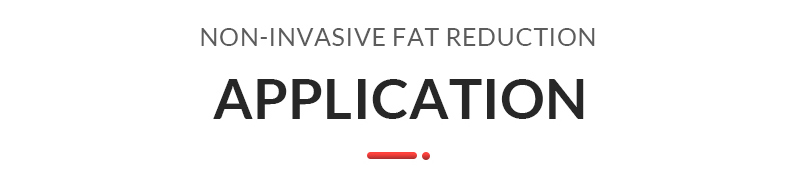 M&aacute;quina de adelgazamiento corporal Hifu Liposonix