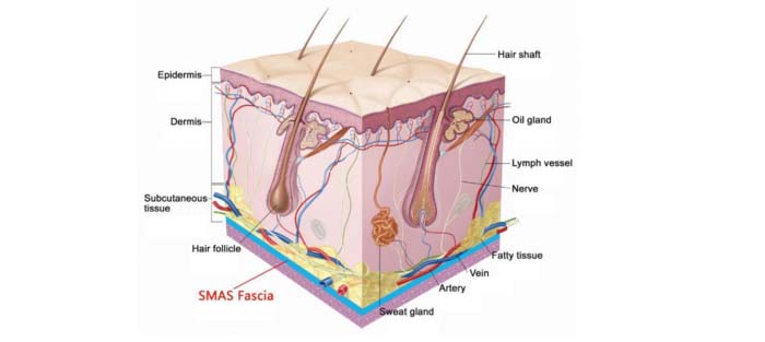 Nueva máquina de ultrasonido enfocado de alta intensidad 3D HIFU