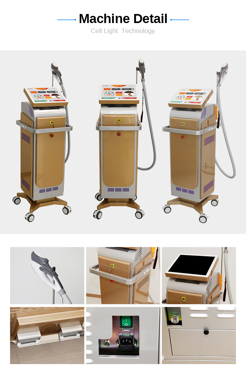 Precio de la m&aacute;quina DPL 